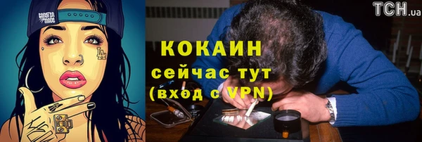 ешки Дмитровск