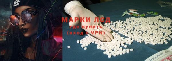 гашик Дмитров