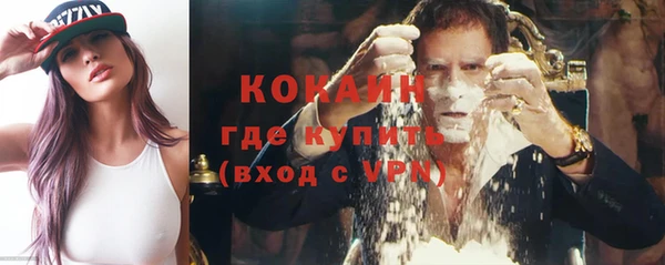 гашик Дмитров