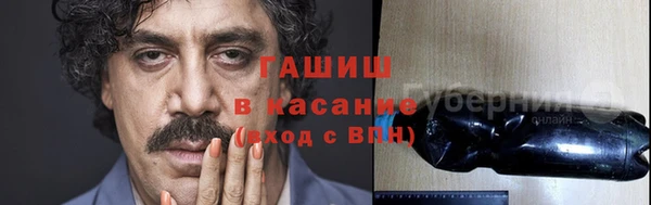 гашик Дмитров