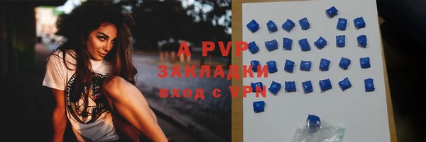 гашик Дмитров
