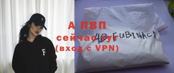 гашик Дмитров