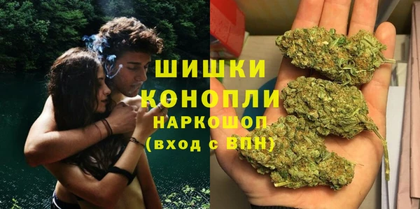 гашик Дмитров