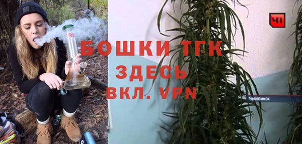 гашик Дмитров