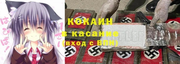 гашик Дмитров