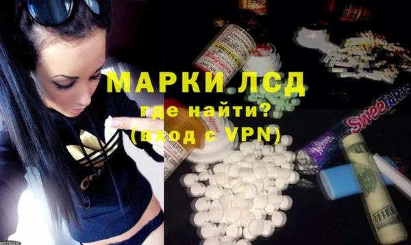 гашик Дмитров