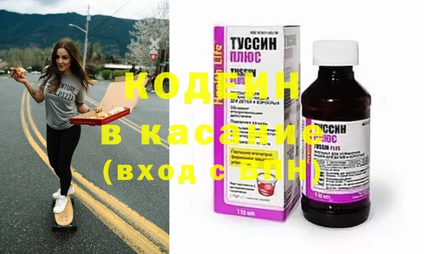 гашик Дмитров