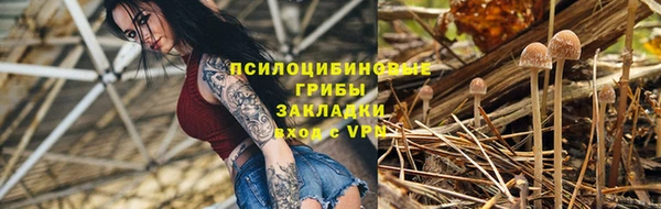 ешки Дмитровск