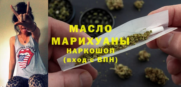 гашик Дмитров